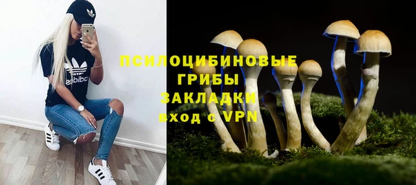 первитин Лагань