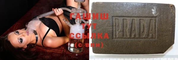 сатива Лабытнанги
