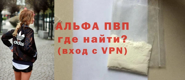 сатива Лабытнанги