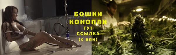 сатива Лабытнанги