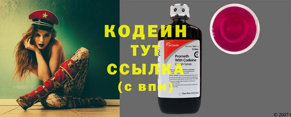 сатива Лабытнанги