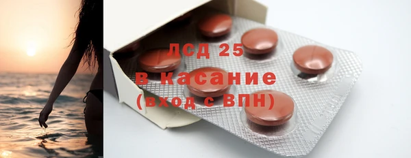 сатива Лабытнанги