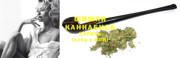 сатива Лабытнанги