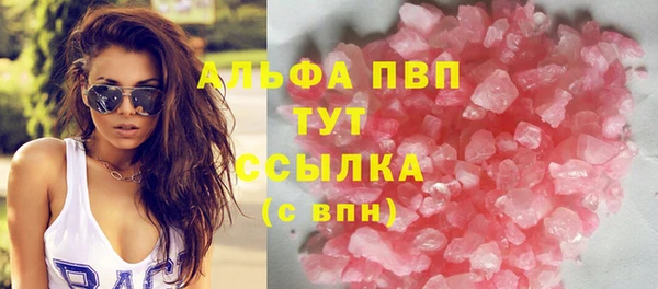 сатива Лабытнанги