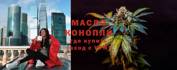 сатива Лабытнанги