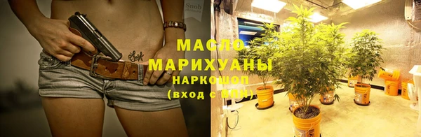 сатива Лабытнанги