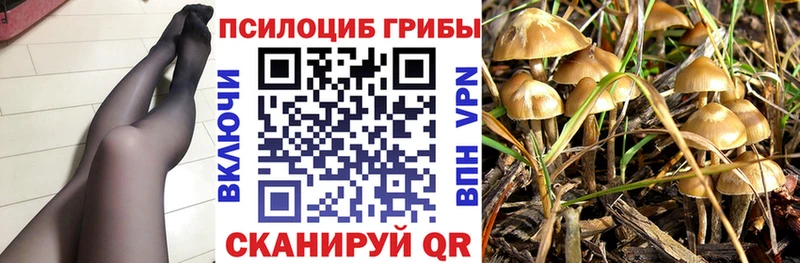 Галлюциногенные грибы прущие грибы Тюкалинск